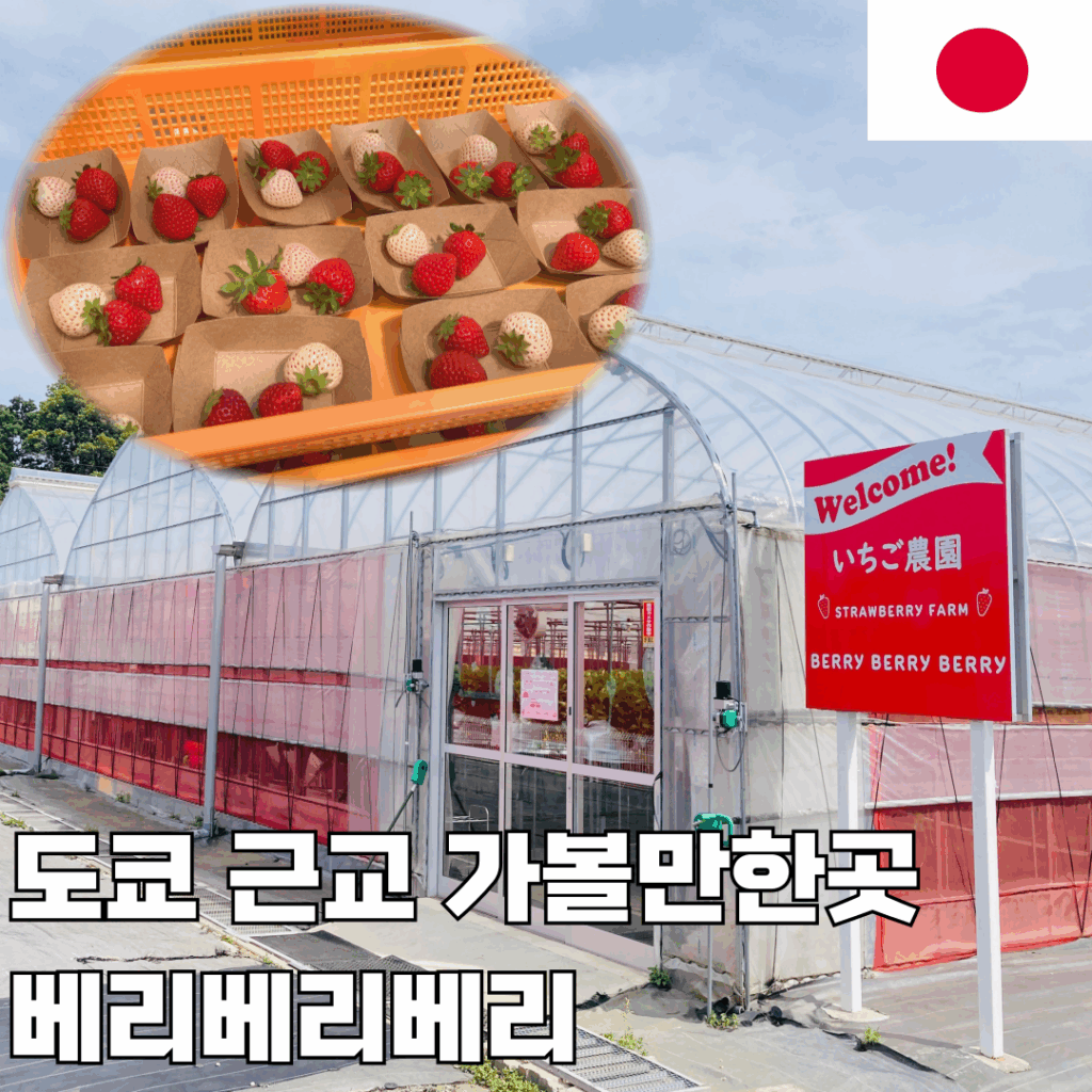 제목을 입력해주세요 001 (86)