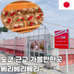 제목을 입력해주세요 001 (86)